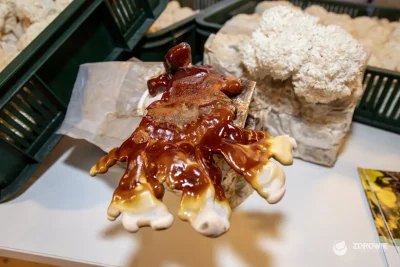 a_zdrowie_bez_lekow__7628_result