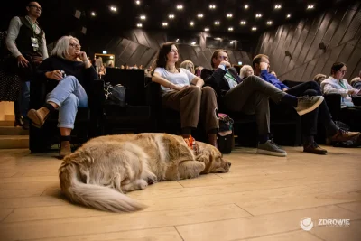 zdrowie_bez_lekow__7485_result